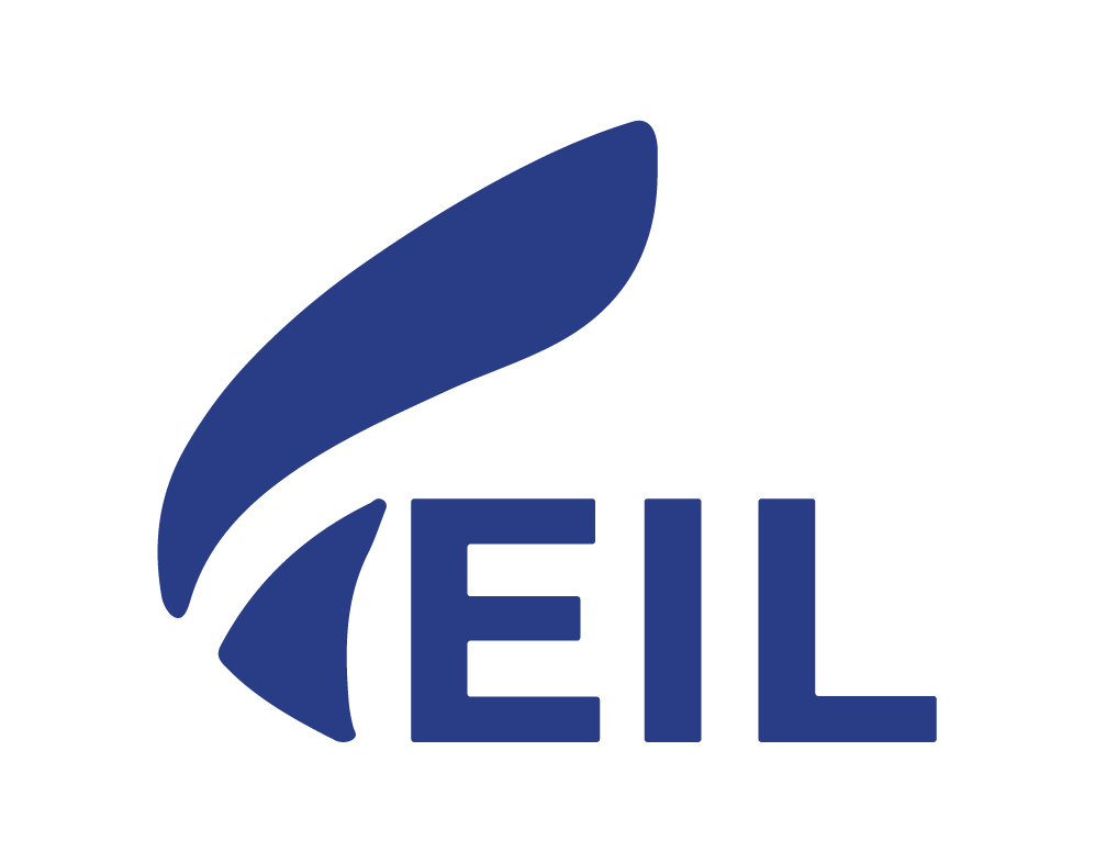 Логотип VEIL
